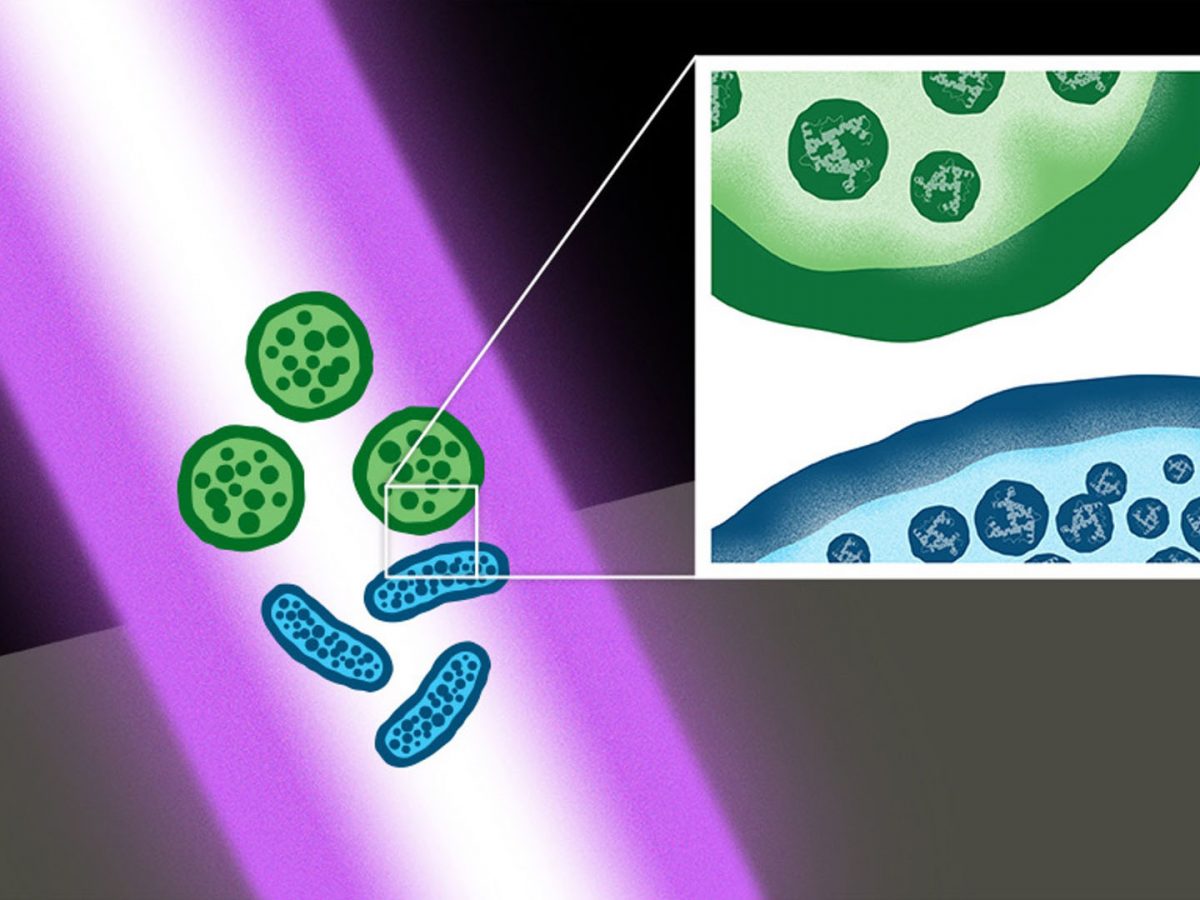 Ultrashortpulse lasers for killing bacterial superbugs, spores