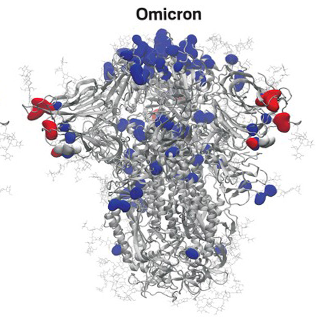 Institute for Health Metrics and Evaluation (IHME) forecasts enormous