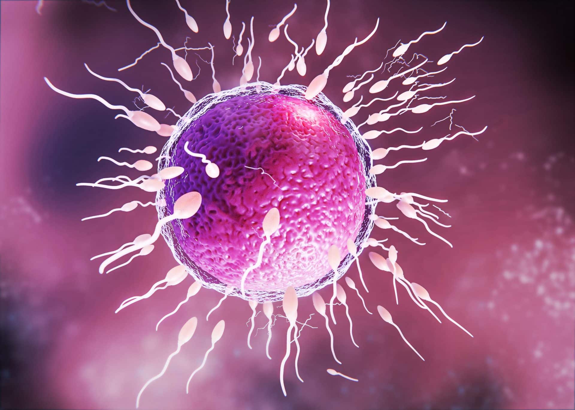IVF